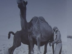 Катарын үндэсний музей 