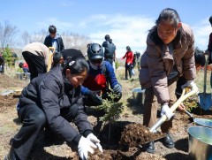 Мод тарихаас гадна тоолж байх нь чухал