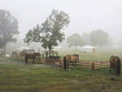 Тавдугаар сард төвийн нутгаар хур тунадас ихтэй байна