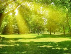 Цаг агаарын нарийвчилсан мэдээг тухай бүрт хүлээн авахыг зөвлөж байна