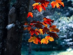 ЦАГ АГААР: Улаанбаатарт шөнөдөө 10 хэм дулаан