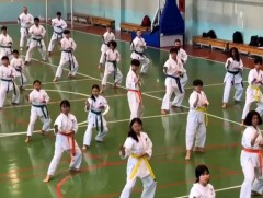 Япон каратэгийн олон улсын сургалт эхэллээ