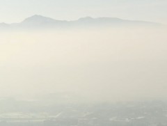 Монгол хүнд утаанаас үүдэлтэй элэгний эсийн хавдрын шинэ мутациуд илэрсэн