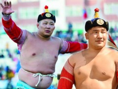 Н.Батсуурь баяр наадамдаа түрүүлж, Дархан аварга боллоо