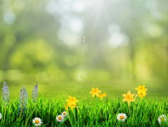 Ирэх саруудын цаг агаарын төлөв 