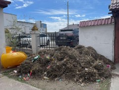 “Цэвэрч иргэн - цэмцгэр хот” тусгай арга хэмжээг хоёр сарын хугацаатай зохион байгуулж байна