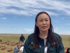 Хоёр га талбайд бортоготой, чийг баригчтай 2300 ширхэг мод тарилаа