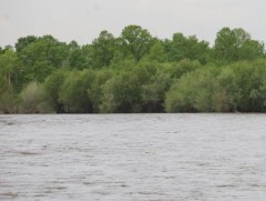 Голууд үерийн аюултай түвшинг 10-70 см даван хүчтэй үерлэсэн хэвээр байна 