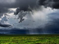 Мэргэжлийн байгууллагаас гаргаж байгаа мэдээ, мэдээллийг тухай бүрт хүлээн авч, аюулгүй байдлаа ха..