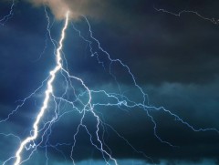 Нэг айлын 87 хонь аянгад цохиулжээ 