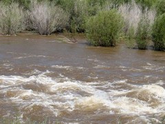 Голууд хүчтэй үерлэж байна