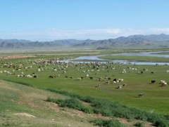 Өвөл, хаврын бэлчээрийн даац нутгийн 70 орчим хувьд хүрэлцээтэй байна
