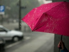 Бороотой үед анхаарах зөвлөмж