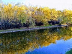 Есдүгээр сард хур тунадас төвийн аймгуудын нутгаар дунджаас ахиу байх төлөвтэй байна