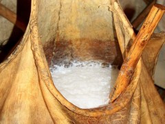 Хөхүүрт зөв исгэсэн айраг хүний биед эм болдог