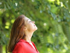 Ой мод сэтгэл зүйд хэрхэн нөлөөлдөг вэ