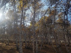 Ойрын 10 хоногт цаг агаар ямар байх вэ 