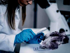 Шүүх шинжилгээ хэргийг шийддэг тул үйл ажиллагаагаа олон улсын түвшинд хүргэхээр ажиллаж байна