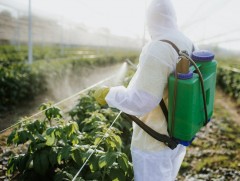 Манай улс пестицидийн хяналтын аюулгүй байдлыг сайжрууллаа