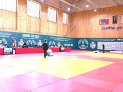 “Sensei cup-2024” тэмцээнд 220 жүдоч өрсөлдөж байна