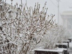 Ирэх саруудын цаг агаарын ерөнхий төлөв