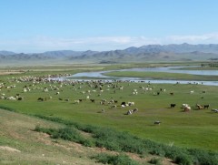 Хээрийн бэлчээрийн 30 орчим хувь нь доройтсон