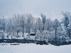 Арав хоногийн цаг агаарын урьдчилсан төлөв