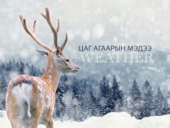 ЦАГ АГААР: Улаанбаатарт өдөртөө 7 хэм хүйтэн