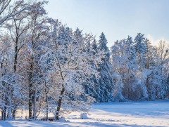 Энэ сард төв болон зүүн аймгуудын нутгаар олон жилийн дунджаас хүйтэн байна 