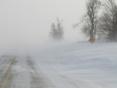Цасан шуурга шуурч, ихэнх нутгаар хүйтэрнэ 