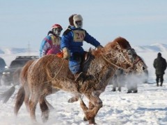 Хурдан морины уралдааныг ирэх оны 5 дугаар сар хүртэл хориглолоо