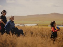 “Хөгжлийн бэрхшээлтэй залуучууд манлайлалд” фото зургийн үзэсгэлэн нээгдлээ   