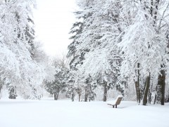 Арав хоногийн цаг агаарын урьдчилсан төлөв 
