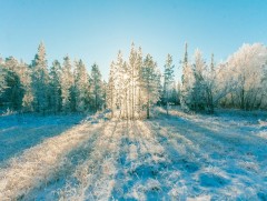 Ирэх саруудын цаг агаарын ерөнхий төлөв