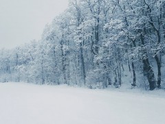 Арав хоногийн цаг агаарын урьдчилсан төлөв