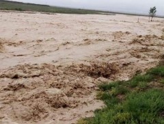 Өнгөрсөн онд цаг агаарын гаралтай аюулт болон гамшигт үзэгдэл олон болжээ 