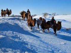 Аялал жуулчлалын долоо хоног ирэх сарын 10-нд эхэлнэ