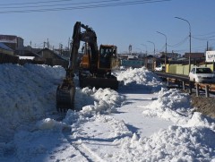 Нийслэлийн 14 байршилд халиа тошин үүсээд байна