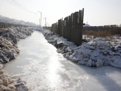 Нийслэлд 14 байршилд халиа тошин үүсжээ