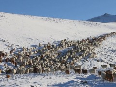 Зургаан аймгийн 23 сум цагаан зудтай байна 