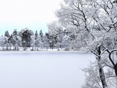 Ирэх саруудын цаг агаарын ерөнхий төлөв