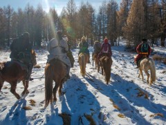 Манай улсад нэгдүгээр сард 33 мянган жуулчин иржээ