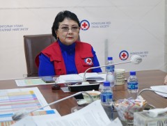 Монголын улаан загалмай нийгэмлэг өнгөрсөн жил 251 сумын 13 мянга орчим малчин өрхөд тусламж үзүүл..