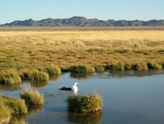 “Нэг сум, нэг нуур” хөтөлбөр хэрэгжинэ 
