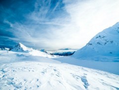Зудын эрсдэлийн үнэлгээгээр бага, дунд эрсдэлтэй нутгийн хэмжээ нэмэгдсэн байна