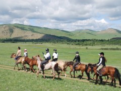 Монголд ирсэн жуулчдын 47 хувь нь эко, адал явдалт аяллыг сонирхсон байна