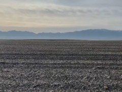 Богд сумын нийт газар нутгийн 60 гаруй хувьд нь цөлжилт эрчимтэй явагдсан