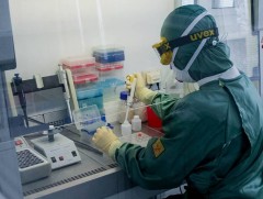 БНХАУ-ын эрдэмтэд хүнд халдварлах боломжтой шинэ төрлийн коронавирус илрүүлжээ