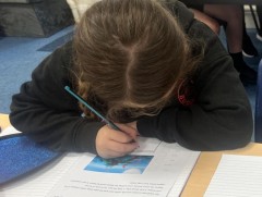 Сургуулийн өмнөх болон бага боловсролын сургалтын хөтөлбөрийг шинэчилж байна