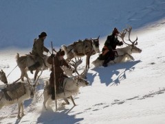 Мөсний баяр “Цаа, цасны баяр”-аар үргэлжилнэ